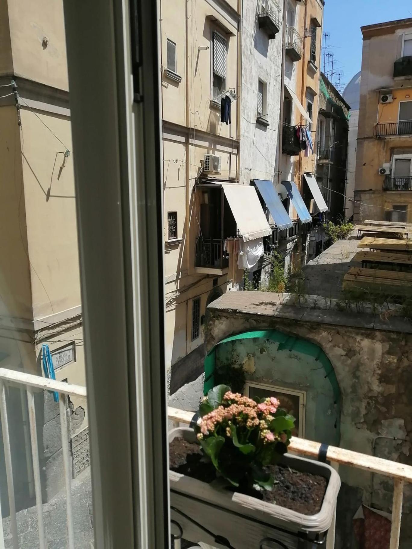 Il Vicoletto Sul Castello * Napoli